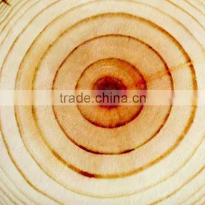New Arrival Wooden-liked Sofa Cushion/pillow Round Shaped thumbnail-3