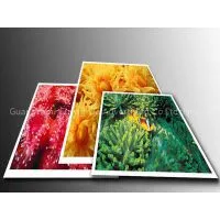 200G PP Paper thumbnail-1