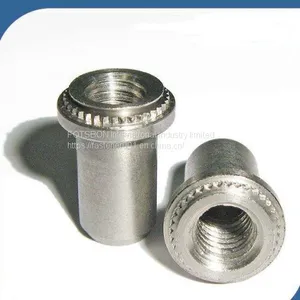 BS-M3-1/BS-M3-2 Self-clinching Blind Fasteners Stainless Steel Nature Blind Nuts PEM Standard Factory Wholesales thumbnail-1