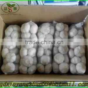 2015 NEW GARLIC/Fresh Garlic/White Garlic/china Garlic thumbnail-2