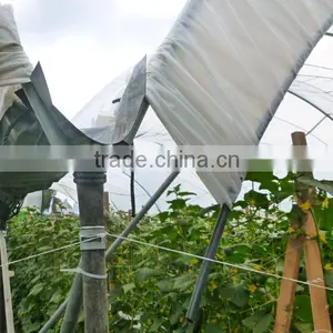 Greenhouse Structure Pole Ancher Stake in Horn Shape thumbnail-4