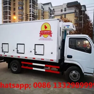 Customized RHD 25,000 Poultry Day Old Chicks Transported Vehicle for Hatcheries for Sale thumbnail-2
