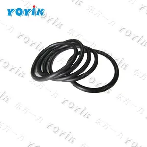 Made in China O-ring DTYD30UZ018 for Thermal Power Plant thumbnail-1