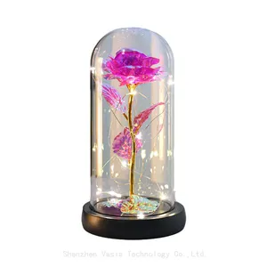 Artificial Preserved Roses in Glass Dome With LED Light Valentine's Day Gift for Women Mom Wholesale thumbnail-1