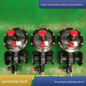 Gas Pressure Regulating and Metering Cabinet, Natural Gas Pressure Regulating Box, Pressure Regulating Device, Pressure Reducing Equipment, Metering Skid thumbnail-2