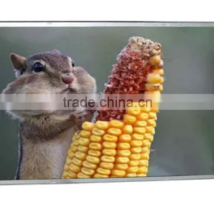 Good Quality Wholesale Price China Supplier Open Frame Lcd thumbnail-4