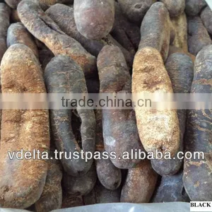 Dried Sea Cucumber ( Black/Yellow Sand Fish ) thumbnail-1