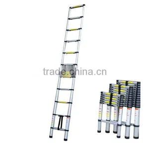 Telescopic Ladder thumbnail-1