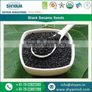 Highly Nutritious Top Rated Sesame Seeds Dealers thumbnail-1