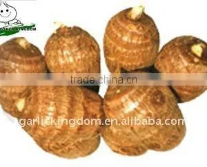 Fresh Taro Root thumbnail-1