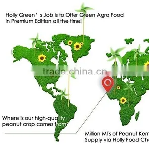 Grade AAA Senegal African Peanut Kernel Premium Raw Blanched in Shell Red Skin Peanut Butter CPT CIF CFR CHINA WORLD MARKET thumbnail-1