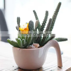Wholesale Artificial Mini Succulent Flower Plants, Mini Flower Bonsai thumbnail-5