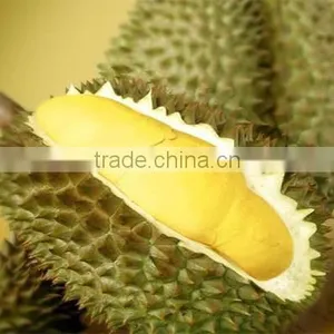 BEST PRICE VIETNAM FROZEN DURIAN thumbnail-6