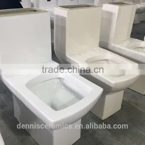 Dennis 2066 One-Piece White and Ivory Color Toilet thumbnail-2