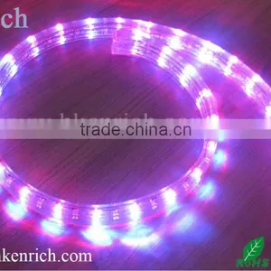 220v Long Lifespan 3Wires Flat LED Rope Light thumbnail-1