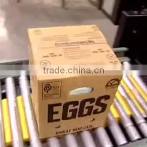 CLEAN FRESH WHITE AND BROWN EGGS FOR SALE BRAZIL ORIGIN thumbnail-4