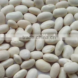 Chinese Medium White Kidney Beans for Sale Quality Choice thumbnail-3
