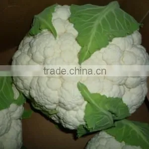 Fresh Cauliflower thumbnail-1