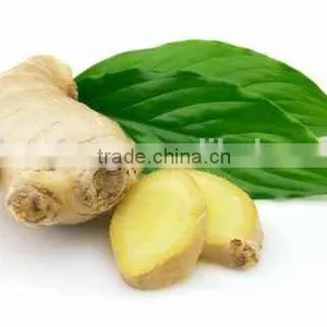 Baked Low Sulphur Natural Ginger Slice, Dehydrated Ginger Slice thumbnail-6