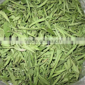 Sweet Stevia thumbnail-1
