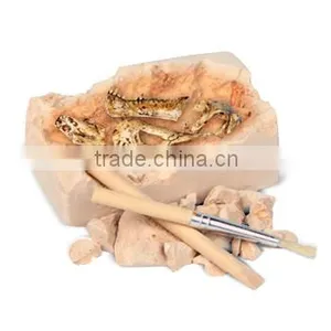 Mini Dinosaur Skull Dig Kit, 4 Assorted thumbnail-2