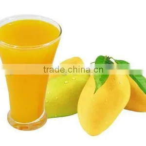 Fresh Alphonso Mango Pulp thumbnail-2