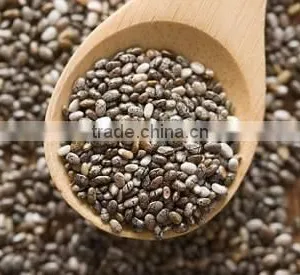 SALVIA HISPANICA SEED thumbnail-4