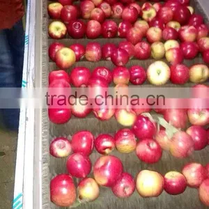 Fresh Apples thumbnail-1