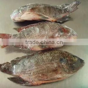 Tilapia Fish Food Machine for Producing Gutted and Scaled Fish thumbnail-1