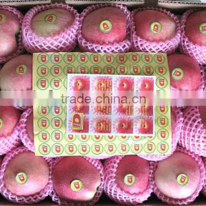 Chinese Fresh Fuji Apple Price thumbnail-1