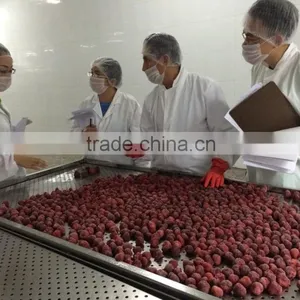 BQF Frozen Strawberry thumbnail-4