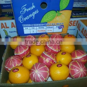 Forwell Oranges From Egypt thumbnail-6