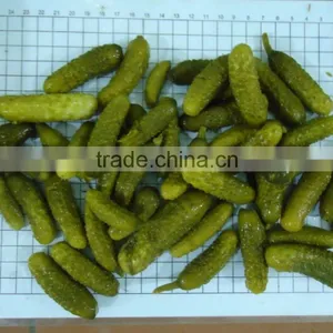 Pickled Cucumbers 3-6 thumbnail-3