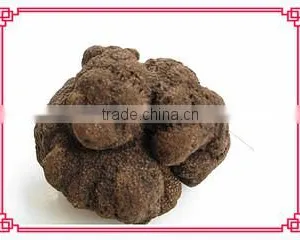 Chongqing Eusinasia Foods Co., Ltd. company overview - view 3 thumbnail