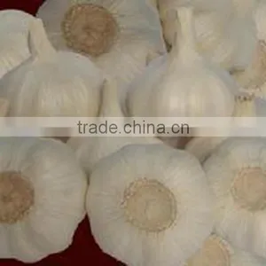 Pack in Mesh Bag or Carton Garlic thumbnail-5