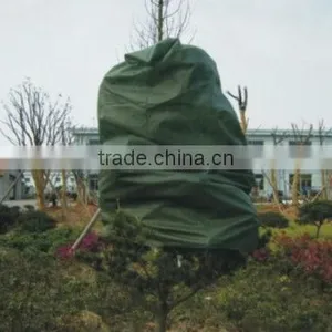 Plant Cover thumbnail-1
