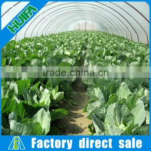 Agriculture Used Polycarbonate Tunnel Greenhouse Kits for Sale thumbnail-1