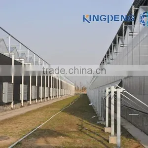 Venlo Agricultural Polycarbonate Sheet Greenhouse thumbnail-3