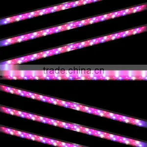 Wholesale 60W Veg Led Grow Light Bar Full Specturm Marshydro Led Grow Light Strip/ Bar thumbnail-1