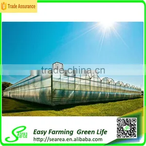 Hot Sale Glass Greenhouse Shade Green House Design thumbnail-3