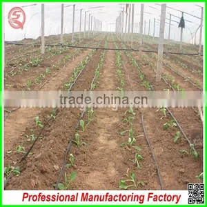 Hot Sale Agriculrtural Multi-span Poly House Plastic With Good Price thumbnail-3