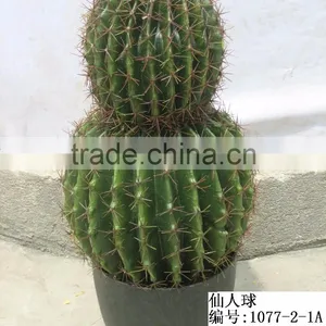 Outdoor Artificial Cactus Bonsai thumbnail-5