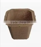 Biodegrable Seed Pot thumbnail-1