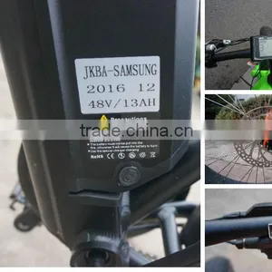 8FUN 48V 750W High Power Electric Fat Tire Bike With Pedals thumbnail-4