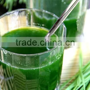 New Stainless Steel Wheat Grass/Hand Juicer/Manual Wheatgrass Extractor thumbnail-2