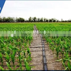 SEEDAA- Plastic Dripline for Watering /Drip Tubes/Crops Drip Tape thumbnail-3