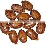 Castor Oil thumbnail-3