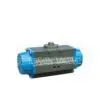 Pneumatic Actuator-DA&SR Series thumbnail-1