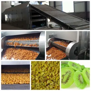 Dried Fruit Processing Line thumbnail-1