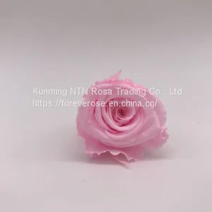 Ever Lasting Rose Love Flower Wedding Festival Decoration thumbnail-1